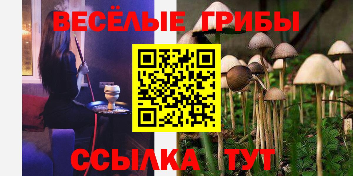 Галлюциногенные грибы GOLDEN TEACHER  Галлюциногенные грибы мицелий  Вход с VPN  Новоалтайск 